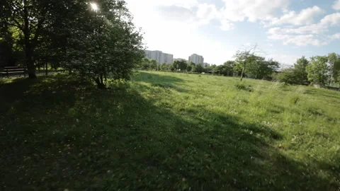 Rollerblading Through a Picturesque Park Stock Footage 277159592