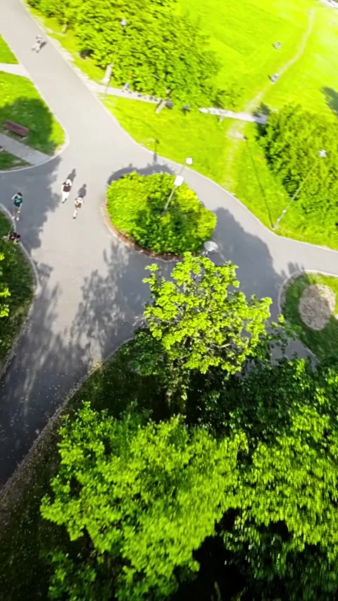Rollerblading Through a Picturesque Park Stock Footage 278837669