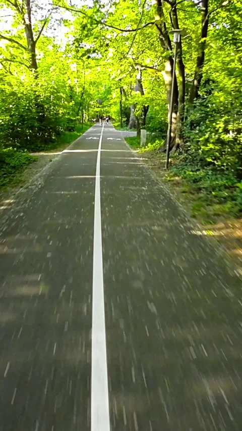 Rollerblading Through a Scenic Tree-Lined Park Stock Footage 281578307