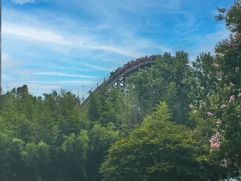 Rollercoaster above tree line 库存照片