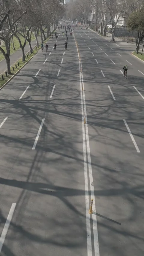 Rollerskaters Skate Down Tree Lined Urban Road Santiago Flat Aerial Vertical HD Stock Footage 309331347