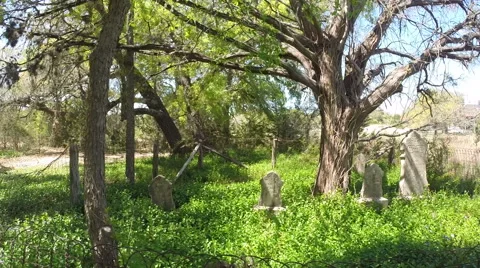 Rolling Across an old cemetery Vídeo Stock 49061570