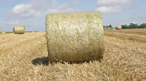 Rolling bale of hay Stock Footage 29347146