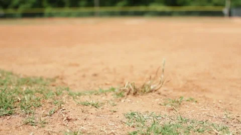 Rolling Baseball Picked Up Stock Footage 83058178