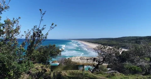 Rolling beach waves between the trees Stock Footage 78328342