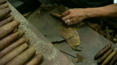 Rolling Cigar Video stock 145964