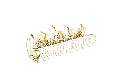 Rolling a cigarette in paper with filter and tobacco , hand drawn illustratio Stock Illustration