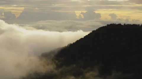 Rolling cloud over misty rainforest in jungle of Sabah Malaysian Borneo Island Stock Footage 49671184