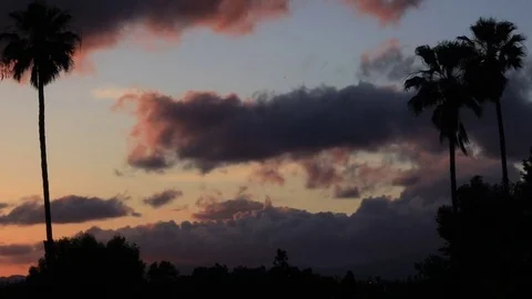 Rolling clouds behind palm trees at sunset (time lapse) Stock-Footage 74639140