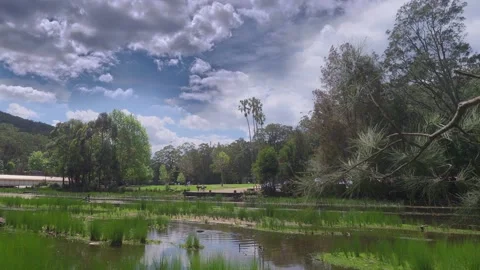 ROLLING CLOUDS NAT PARK 動画素材 162957393