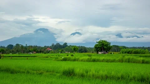 Rolling Clouds Over Bratan Mountains and Farmers Working in Rice Fields in Bali Stock Footage 195935167