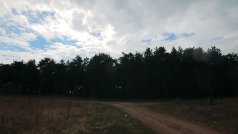 Rolling clouds over coniferous forest. Time-lapse Stock Footage 77732156