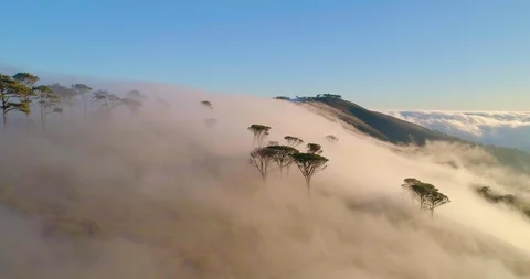 Rolling Clouds Over Signal Hill in Cape Town Sunrise Stock Footage 92051202