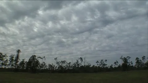 Rolling clouds over trees Stock Footage 12761433