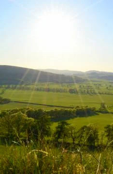 Rolling Countryside Foto stock