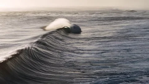 Rolling crescent wave crashing 3 Stock Footage 308723587