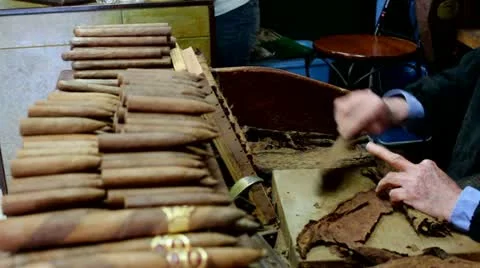 Rolling the cuban cigars Stock Footage 21761618