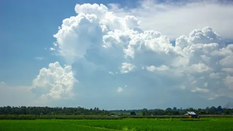 Rolling Cumulus Clouds Growing Over Bali Rice Fields Background Timelapse Stock Footage 195090914