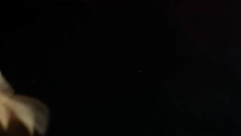 Rolling dice up close onto a reflective black background. Vidéo 201199249