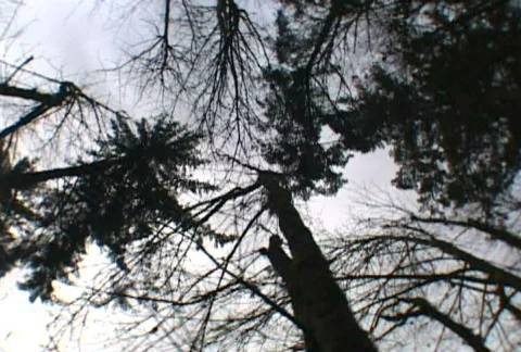 Rolling Down A Hill Effect Stock Footage 344376