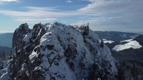 Rolling Elegance: Aerial Winter Dance Over Pine Forest Stock-Footage 255976148