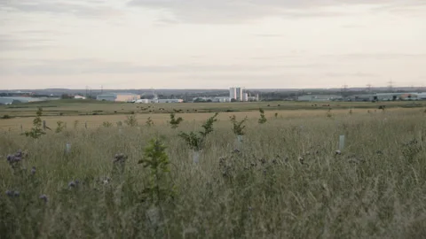 Rolling English meadows with farm structures in the distance 스톡 동영상 135377495