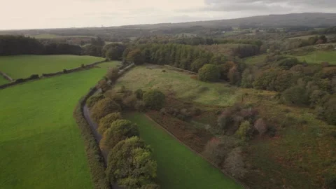 Rolling fields and woodland, landscape, aerial drone, farmland, trees, panning Stock Footage 327239770