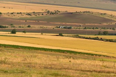 Rolling fields with train passing through landscape during bright day Foto stock