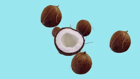 Rolling Flying Coconut Blue Color Background Stock Footage