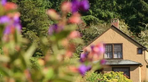 Rolling Focus on flowers in front of Cabin. Video stock 12364899