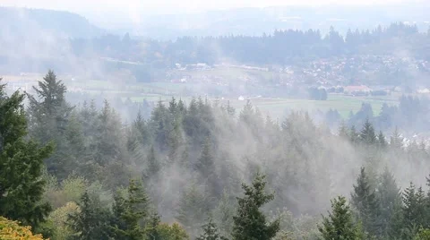 Rolling fog and low clouds over suburb landscape and homes Happy Valley Oregon Stock Footage 68335605