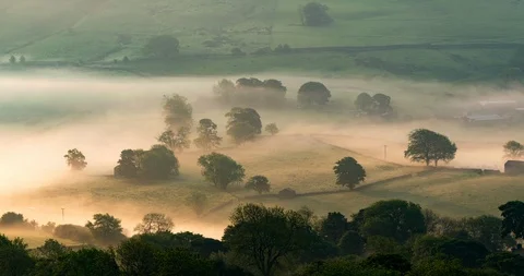 Rolling fog Stock Footage 111971037