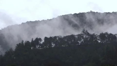 Rolling Fog 스톡 동영상 135276119