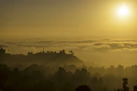 Rolling Fog Video stock 219910339