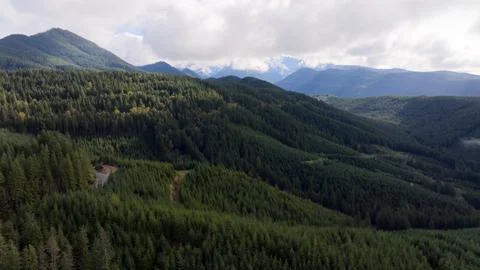 Rolling Forested Hills and Distant Mount Rainier Cloaked in a Blanket of Clouds Stock Photos