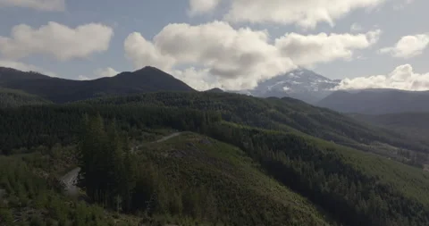 Rolling Forested Hills with Mount Rainier and Clouds Stock Footage 289162760