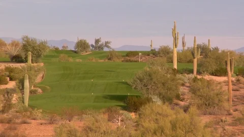 Rolling golf course with desert cactus cacti Stock Footage 125277732