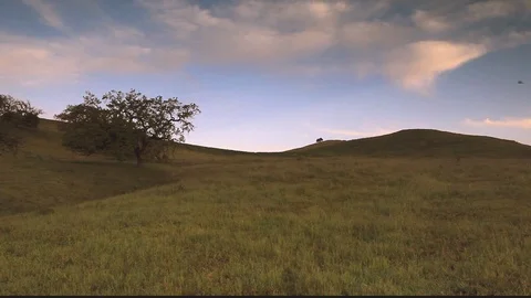Rolling Grass Field Stock Footage 106116107