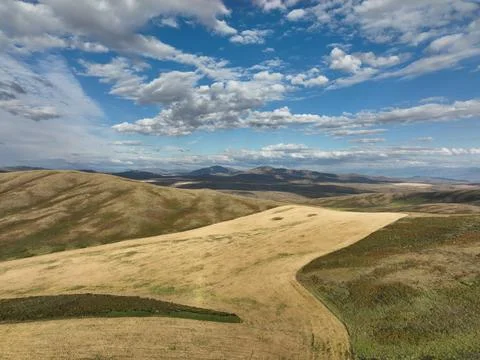 Rolling grasslands stretch beneath vast blue skies with scattered clouds Stock Photos