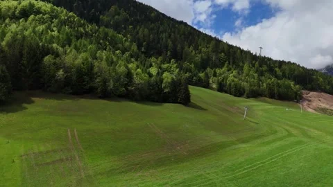 Rolling Green Alpine Field Bordered by Thick Coniferous Forest Stock Footage 342902034