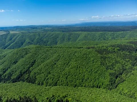 Rolling green deciduous and coniferous forests Stock Photos