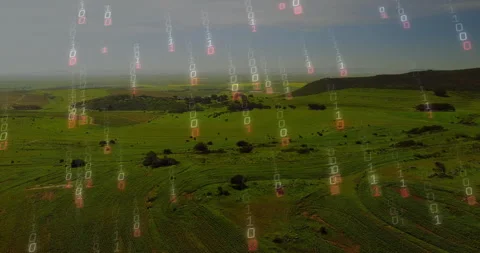 Rolling green farmland streaming binary code overlay with patterned crop rows, 動画素材 307429926