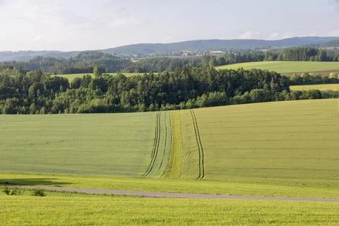 Rolling green fields and forested hills in the Czech countryside Stock Photos