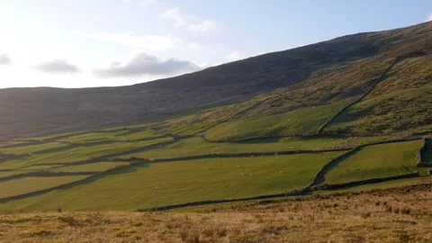 Rolling green fields and hills near Dublin Ireland countryside at sunset Vídeos de archivo 317554999