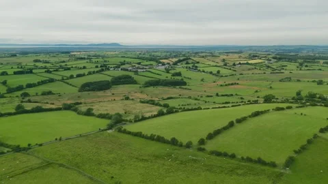 Rolling green fields stretch beneath a soft, overcast sky Stock Footage 345525526