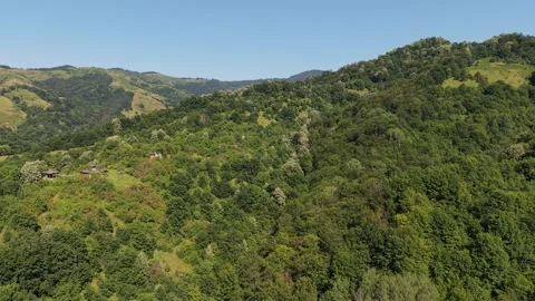 Rolling green hills and deciduous forests Cherni Osam Bulgaria aerial Stock-Footage 343915838