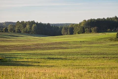 Rolling green hills and fields under a clear blue sky at sunrise Stock Photos