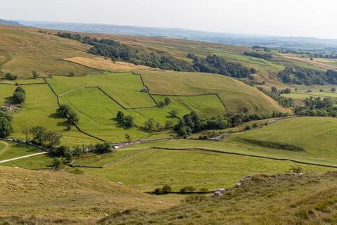 Rolling green hills with patchwork fields and trees under a clear sky, depi.. 스톡 사진