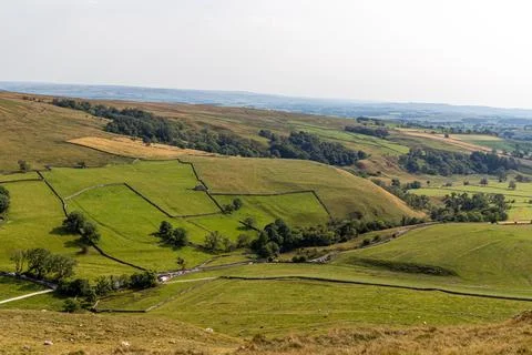 Rolling green hills with patchwork fields and trees under a hazy sky, depic.. 스톡 사진