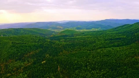 Rolling Green Hills Sunset View. Stock Footage 306653323